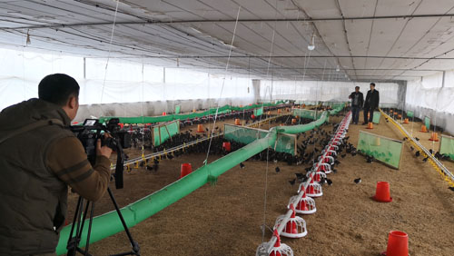 z6尊龙凯时集团：认真履行社会责任 助力群众脱贫致富
